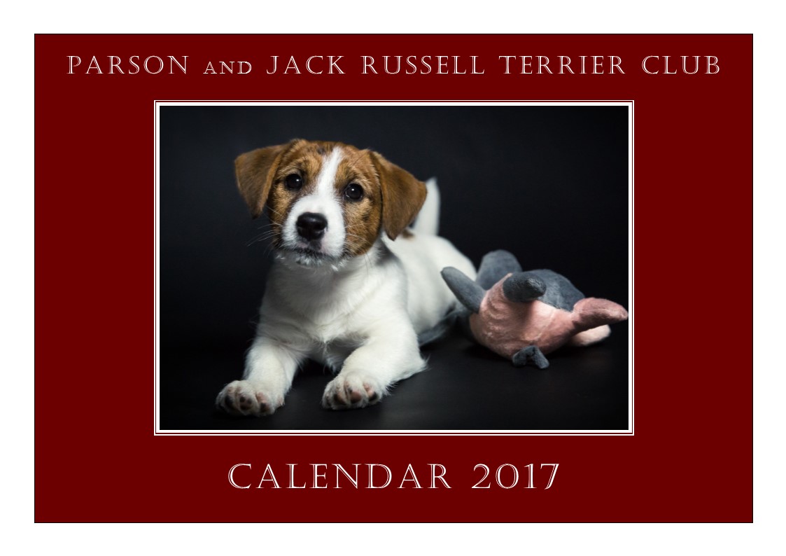 Kalendervorschau 2017
