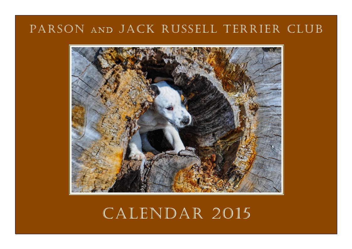 Kalendervorschau 2015